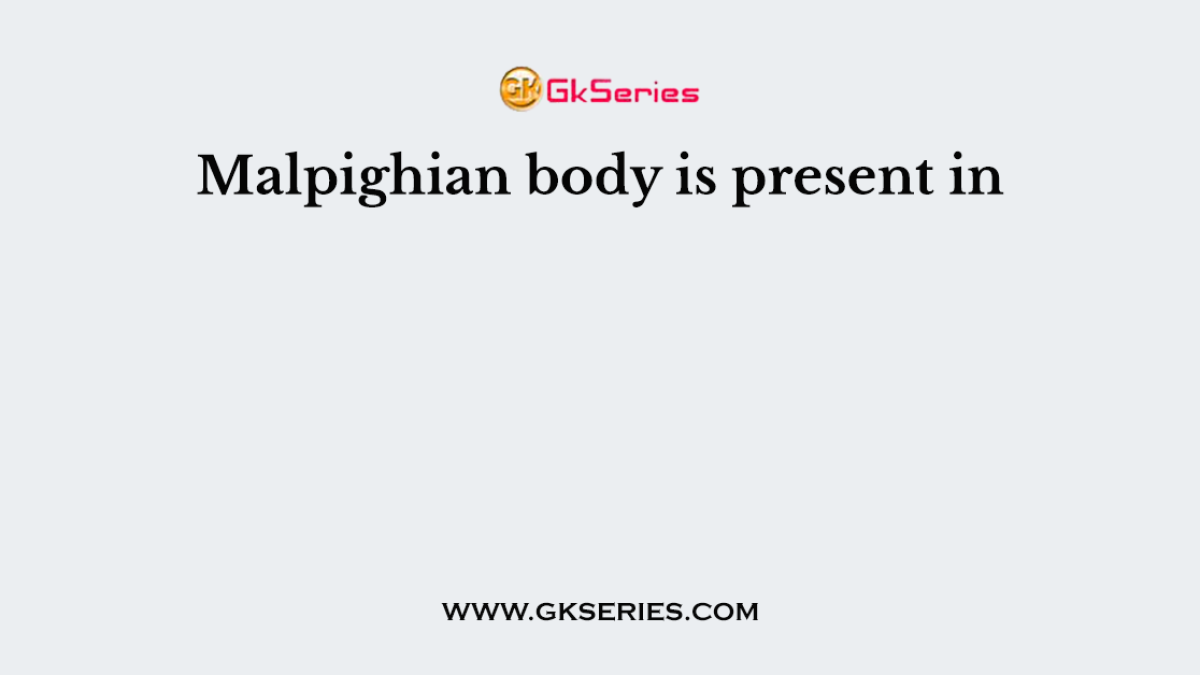 Malpighian body is present in