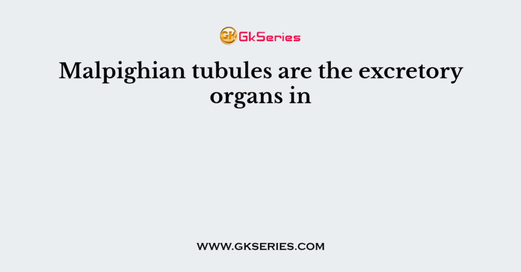 Malpighian tubules are the excretory organs in