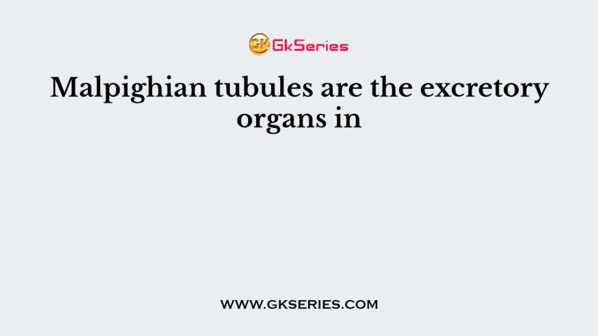 Malpighian tubules are the excretory organs in