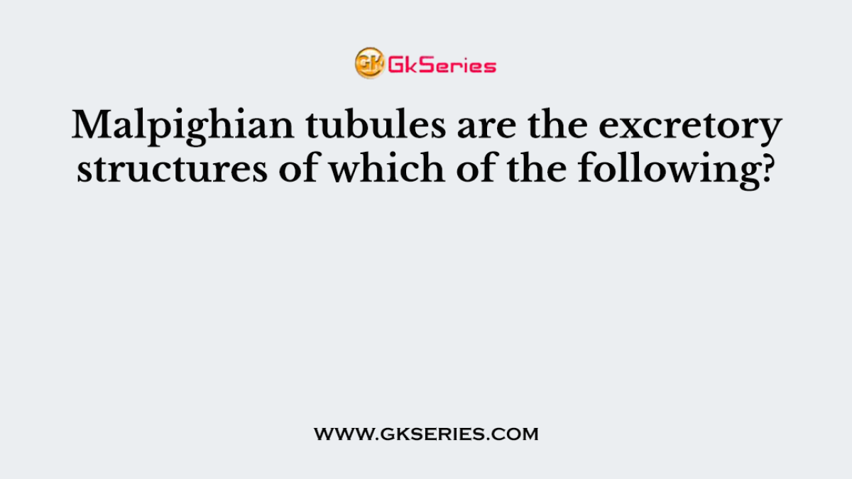 Malpighian tubules are the excretory structures of which of the following?