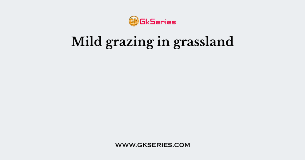 Mild grazing in grassland