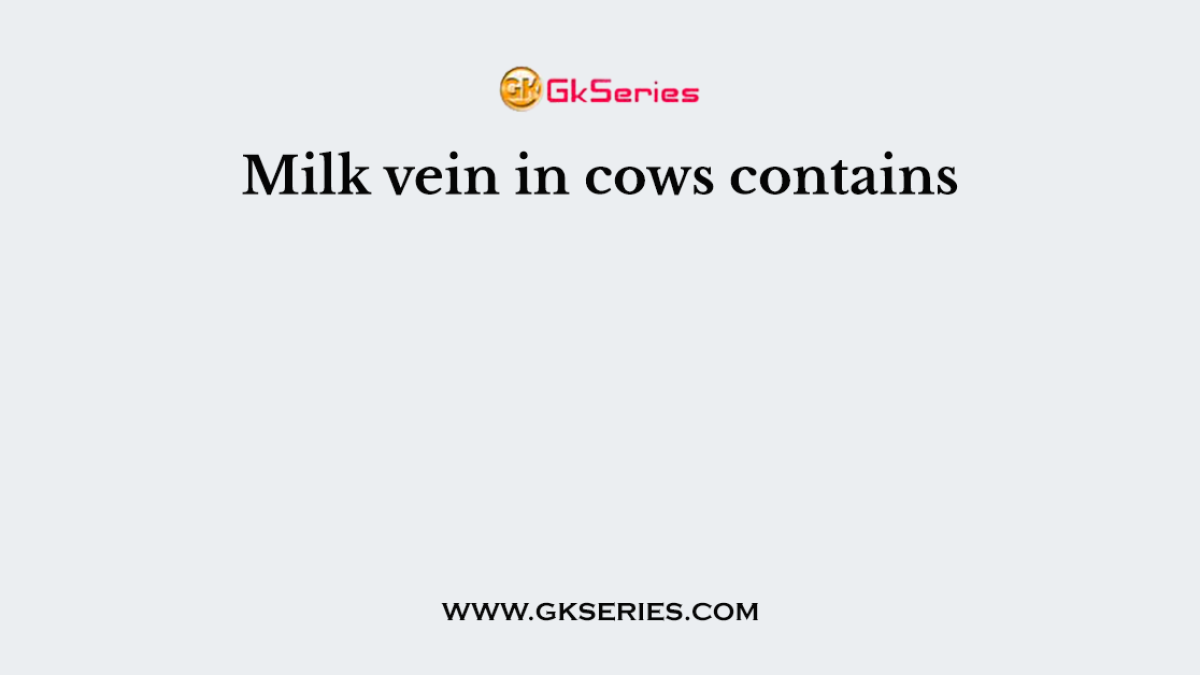Milk vein in cows contains