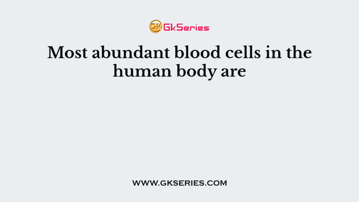 Most abundant blood cells in the human body are