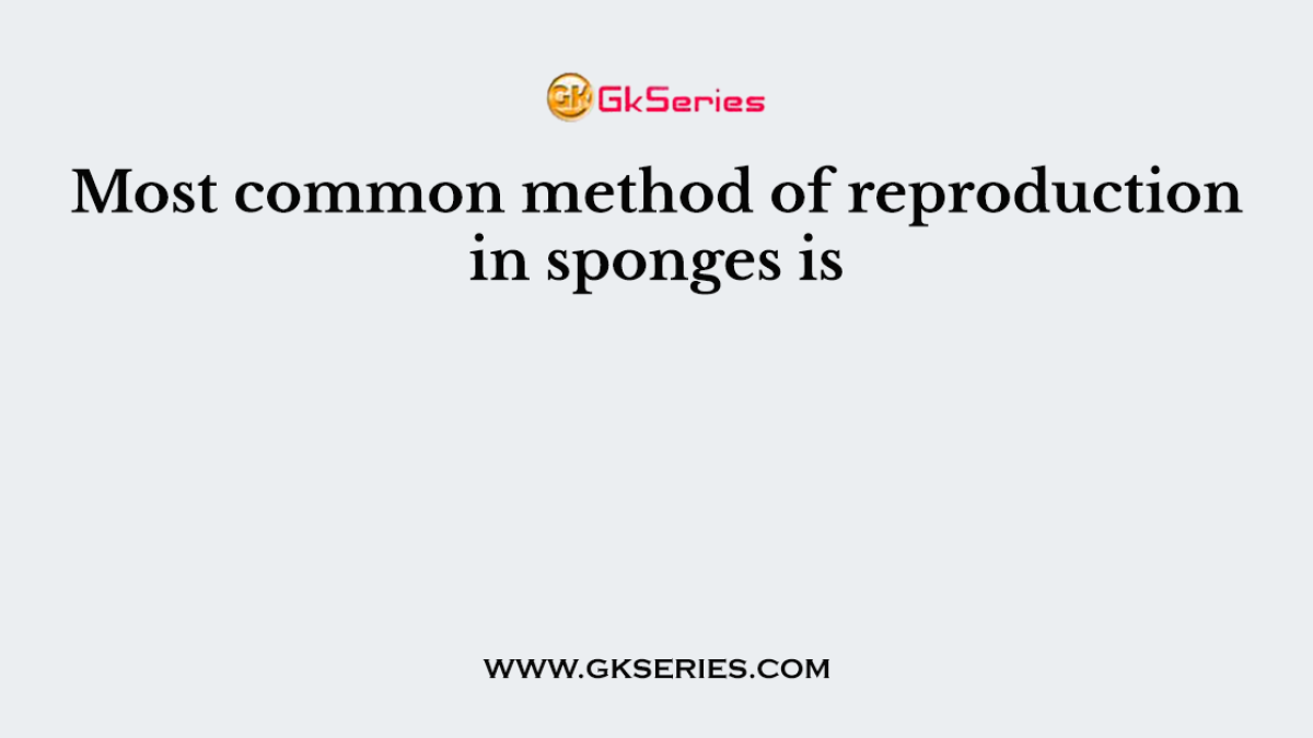 Most common method of reproduction in sponges is