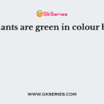 Most plants are green in colour because