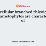 Multicellular branched rhizoids and leafy gametophytes are characteristics of