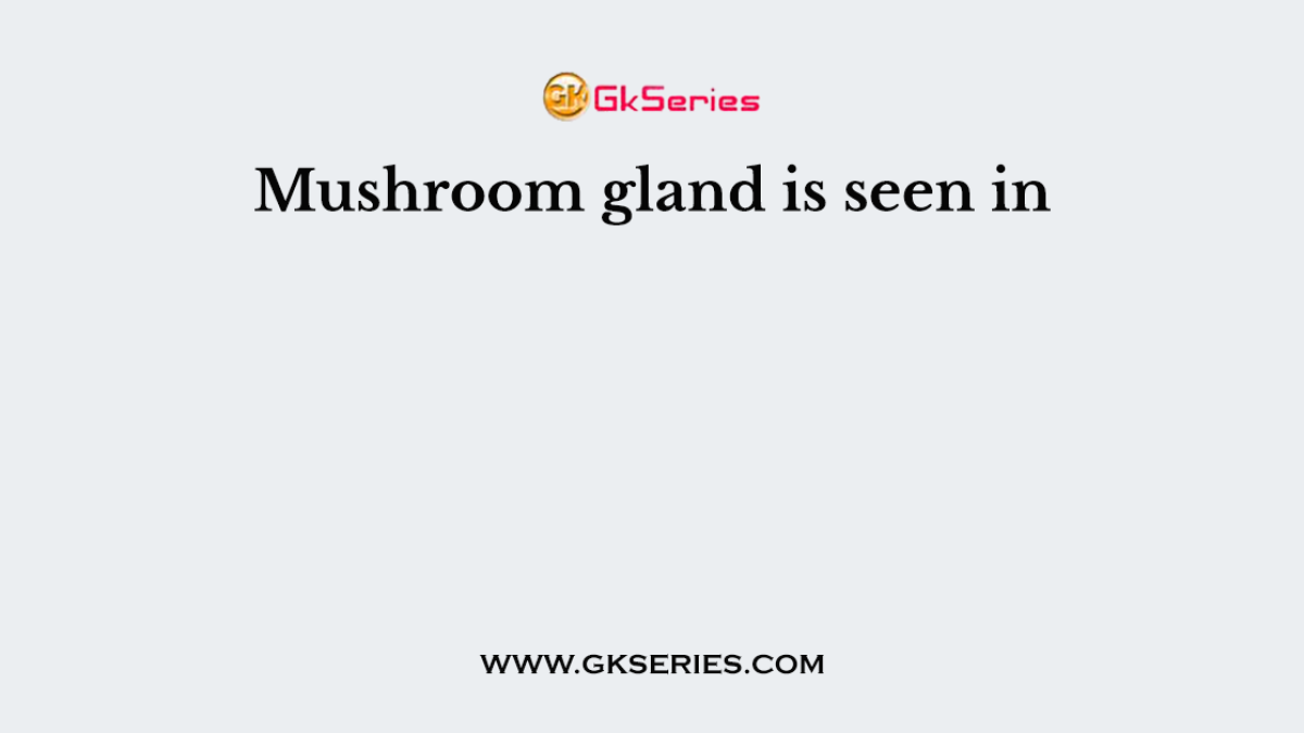 Mushroom gland is seen in