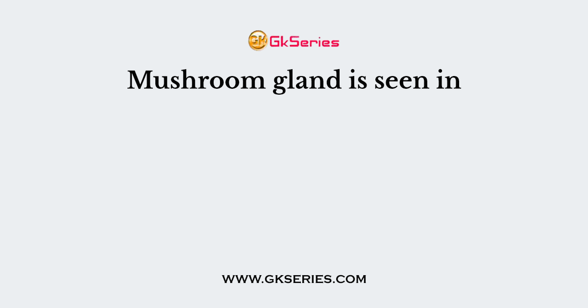 Mushroom gland is seen in