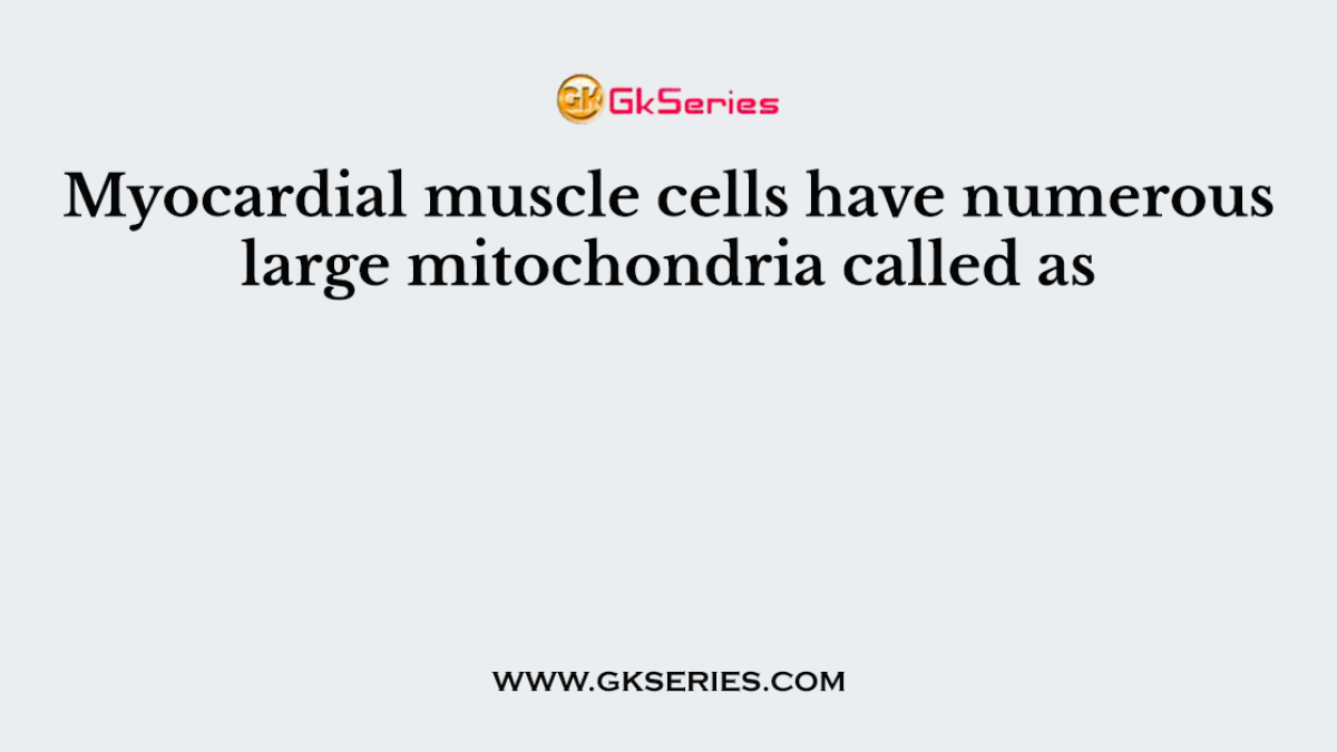Myocardial muscle cells have numerous large mitochondria called as
