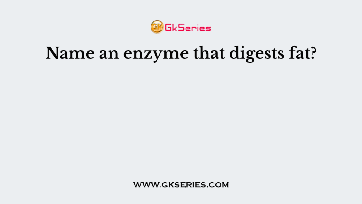 Name an enzyme that digests fat?