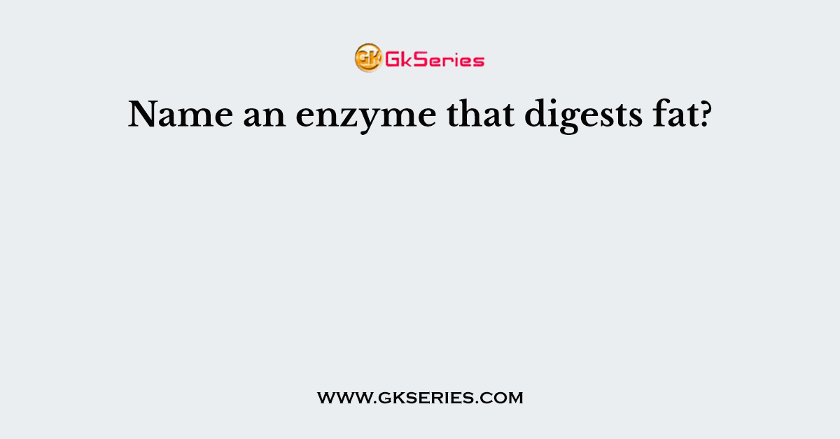 Name an enzyme that digests fat?