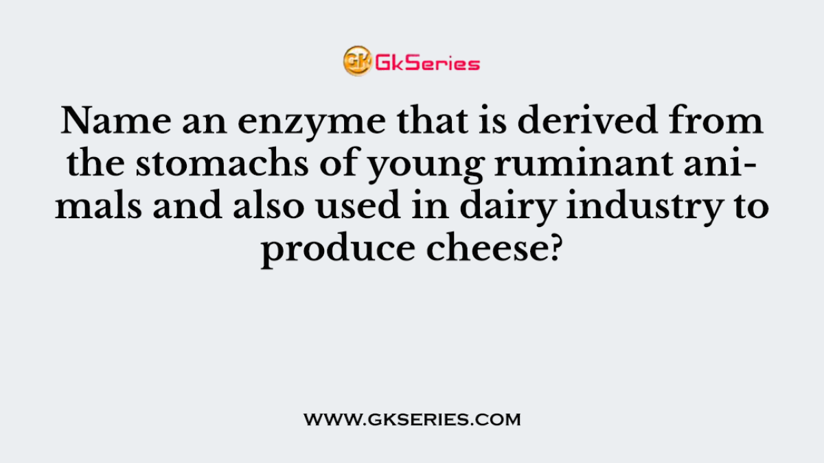 Name an enzyme that is derived from the stomachs of young ruminant animals and also used in dairy industry to produce cheese?