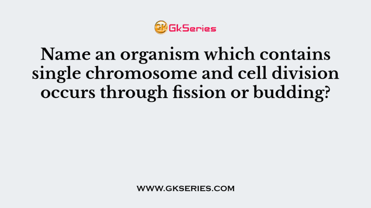Name an organism which contains single chromosome and cell division occurs through fission or budding?