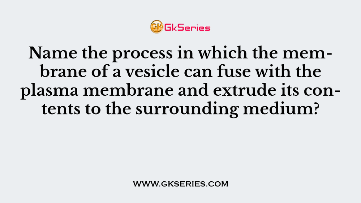 Name the process in which the membrane of a vesicle can fuse with the plasma membrane and extrude its contents to the surrounding medium?