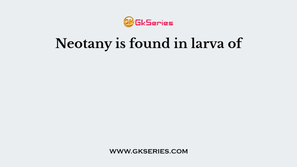 Neotany is found in larva of