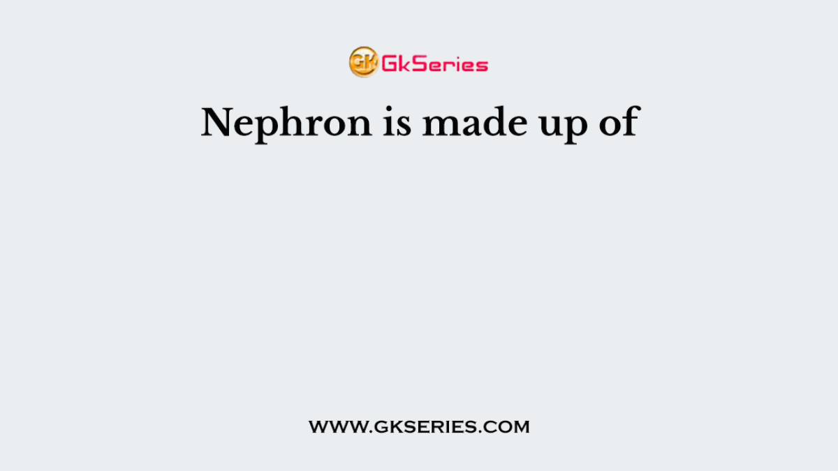 Nephron is made up of
