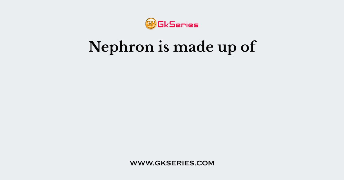 Nephron is made up of