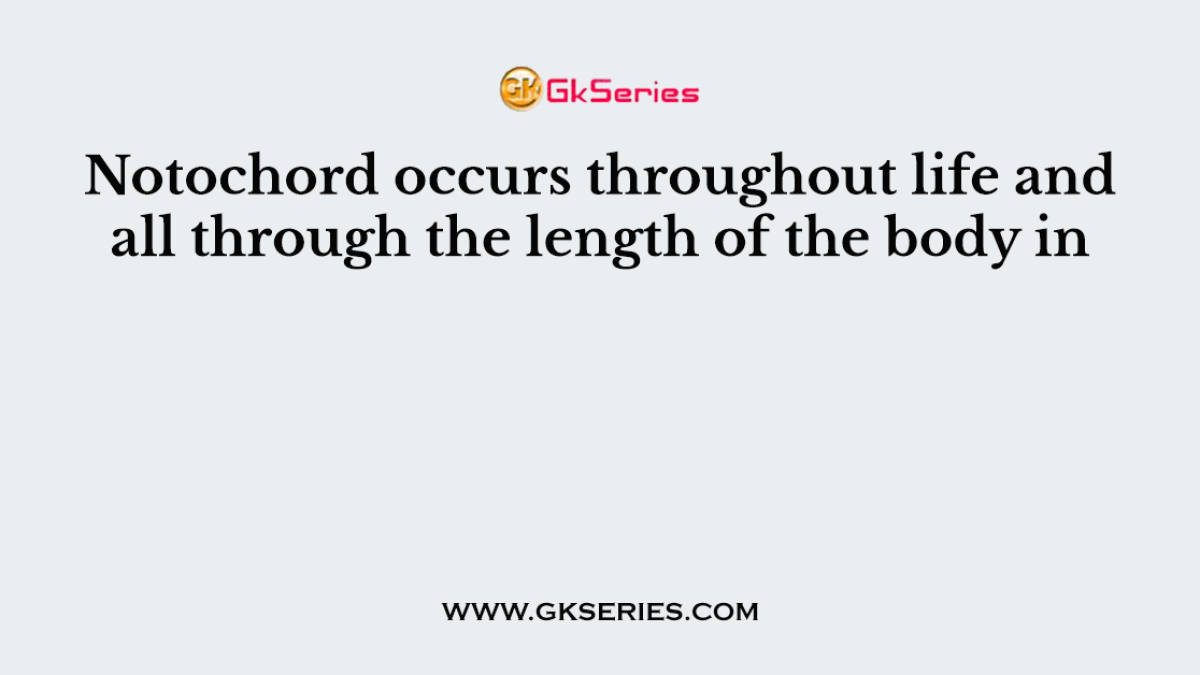 Notochord occurs throughout life and all through the length of the body in