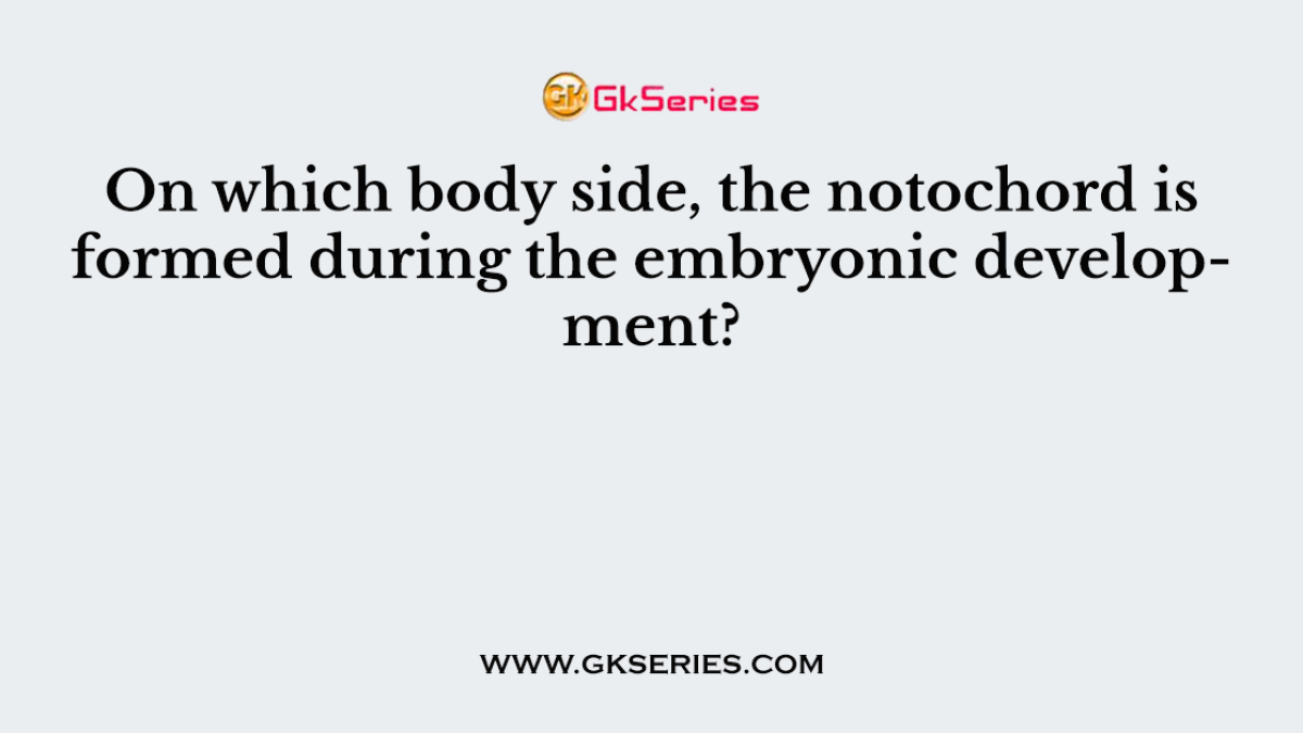 On which body side, the notochord is formed during the embryonic development?