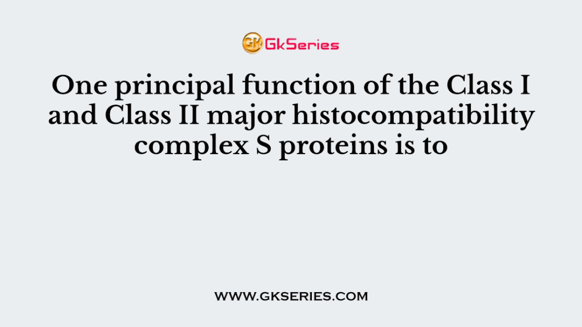 One principal function of the Class I and Class II major histocompatibility complex S proteins is to