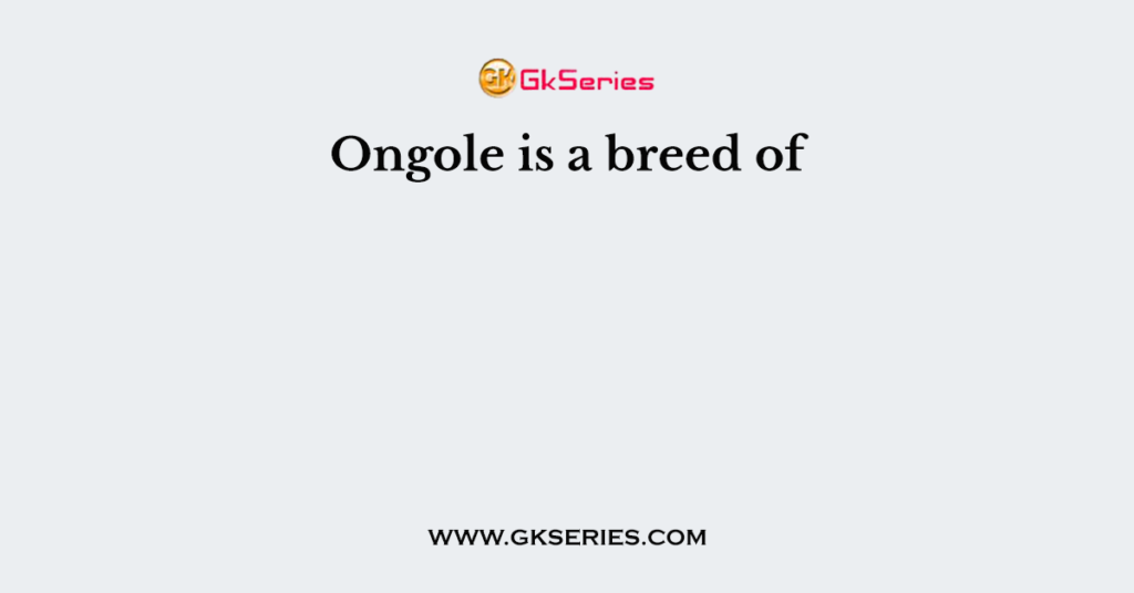 Ongole is a breed of