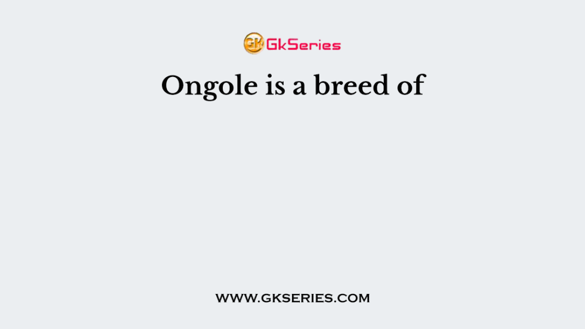 Ongole is a breed of