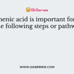 Pantothenic acid is important for which of the following steps or pathways?