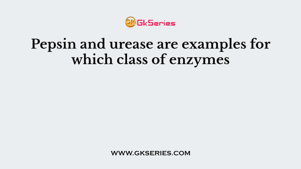 Pepsin and urease are examples for which class of enzymes