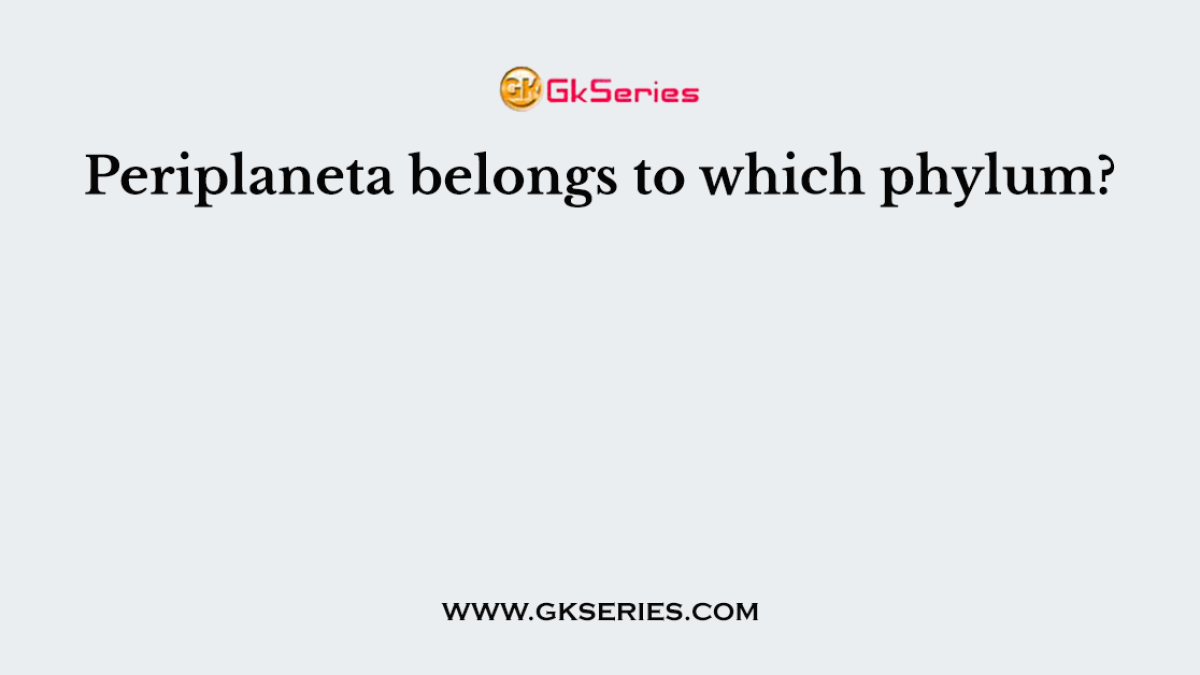 Periplaneta belongs to which phylum?