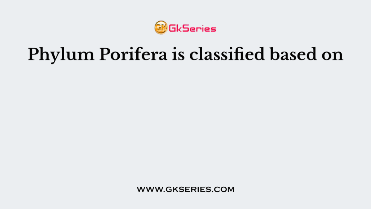 Phylum Porifera is classified based on