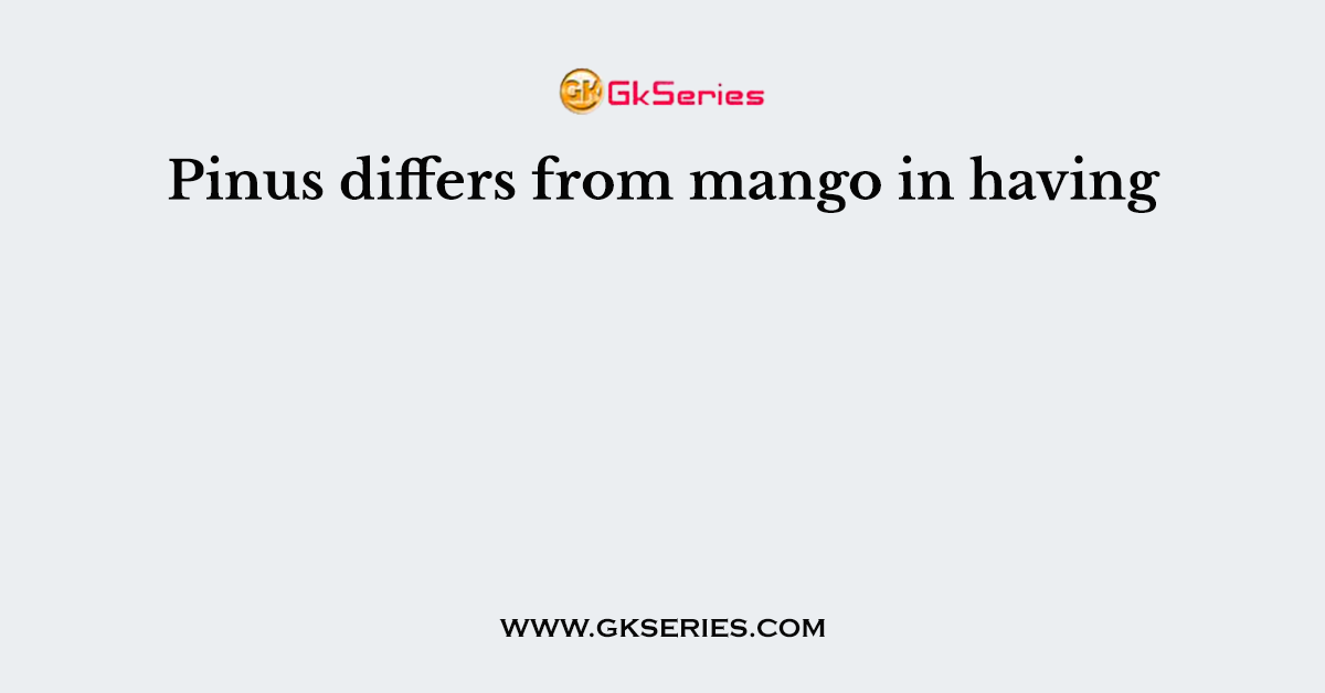 Pinus differs from mango in having