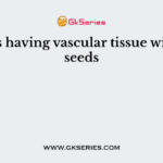 Plants having vascular tissue without seeds