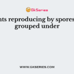 Plants reproducing by spores are grouped under