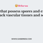 Plants that possess spores and embryo but lack vascular tissues and seeds?