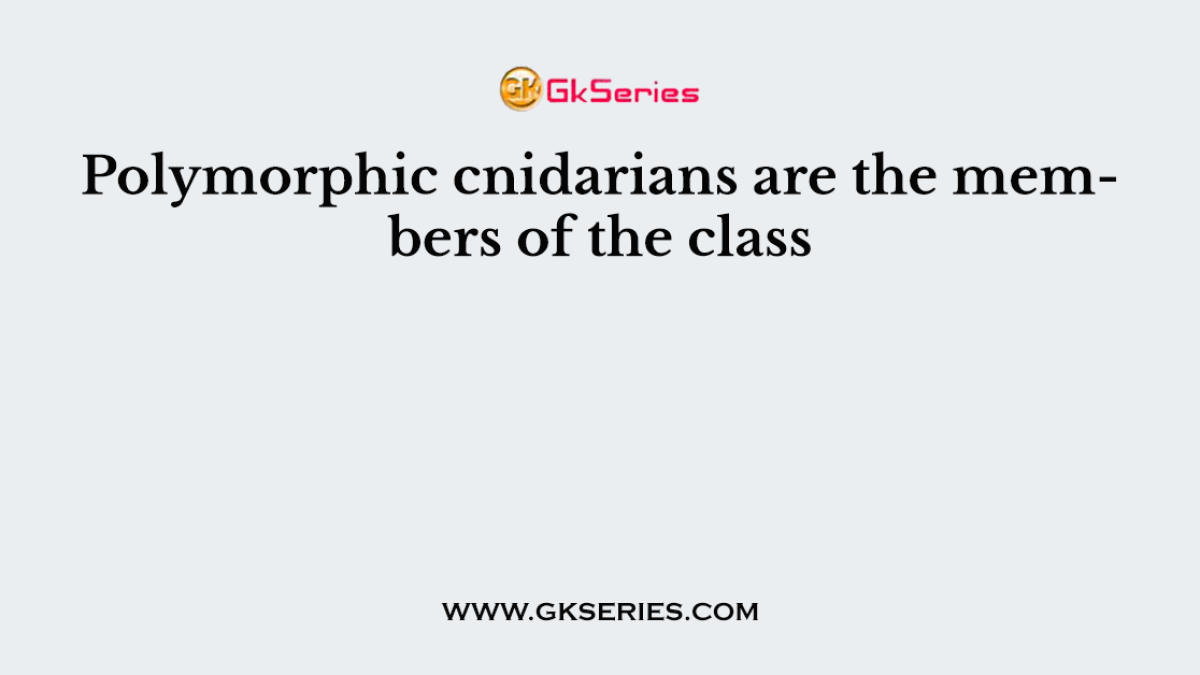 Polymorphic cnidarians are the members of the class