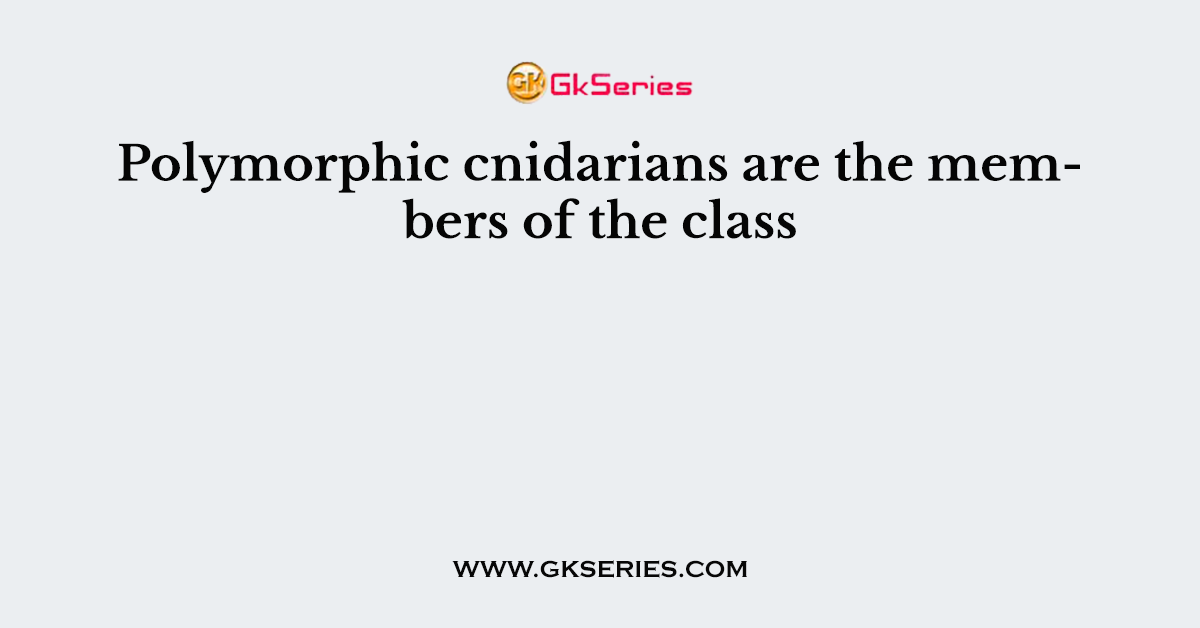 Polymorphic cnidarians are the members of the class