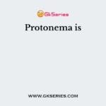 Protonema is