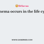 Protonema occurs in the life cycle of