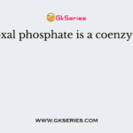 Pyridoxal phosphate is a coenzyme for