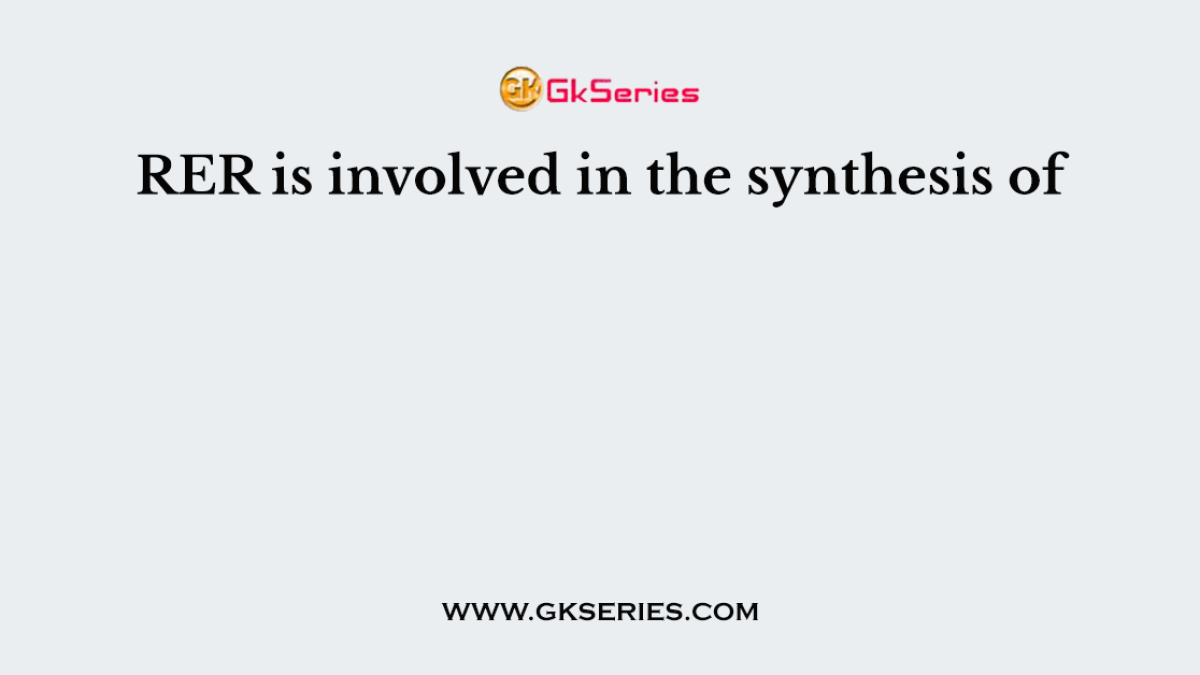 RER is involved in the synthesis of