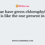 Red algae have green chlorophyll-a that is like the one present in