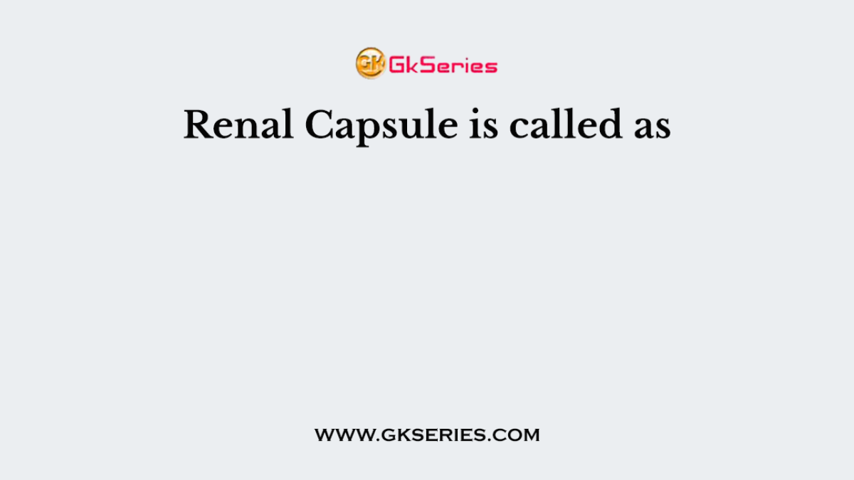 Renal Capsule is called as