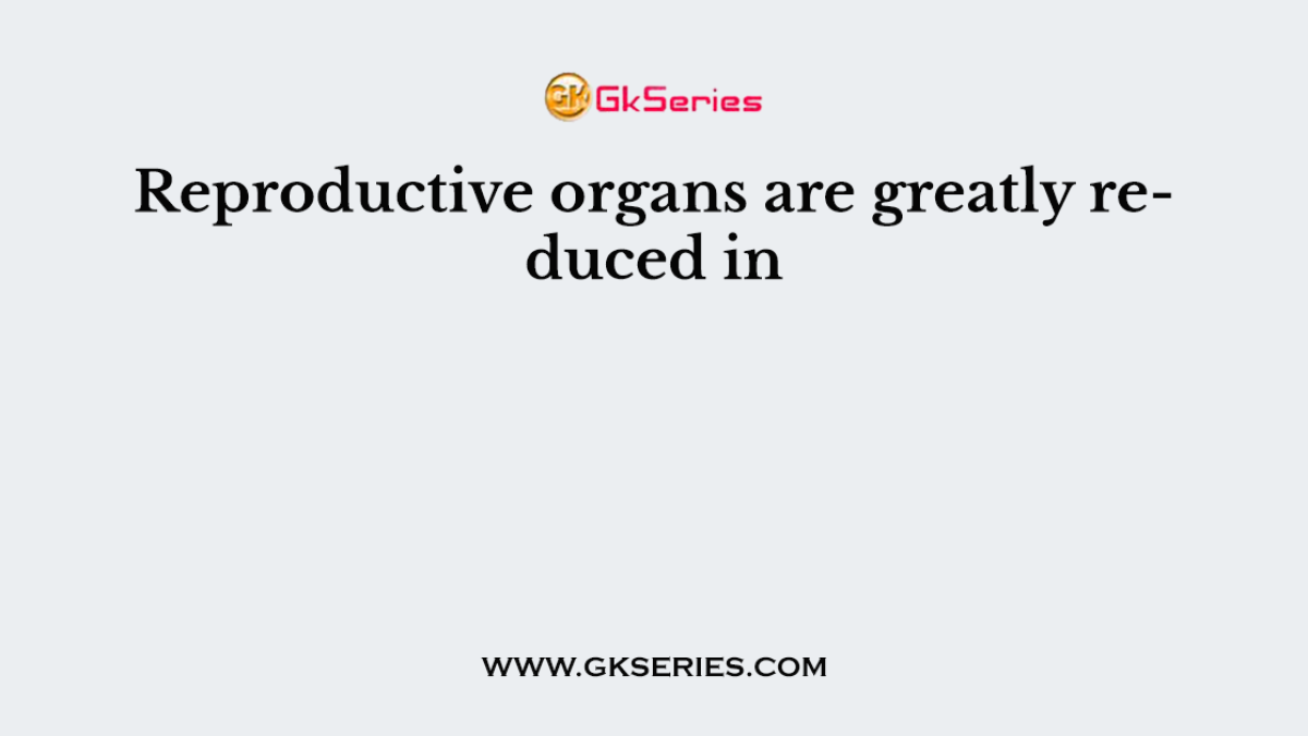 Reproductive organs are greatly reduced in