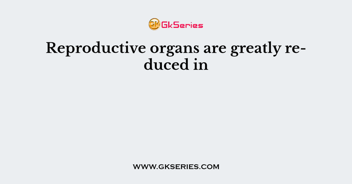 Reproductive organs are greatly reduced in