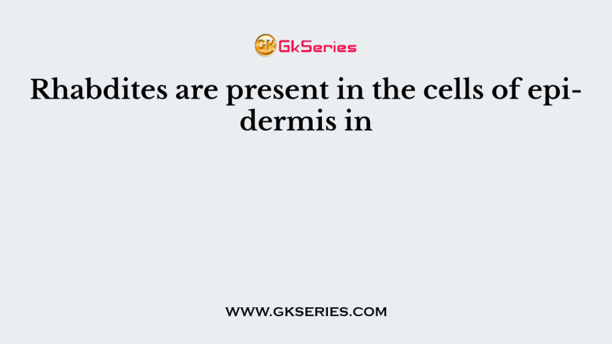 Rhabdites are present in the cells of epidermis in