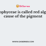 Rhodophyceae is called red algae because of the pigment
