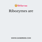 Ribozymes are