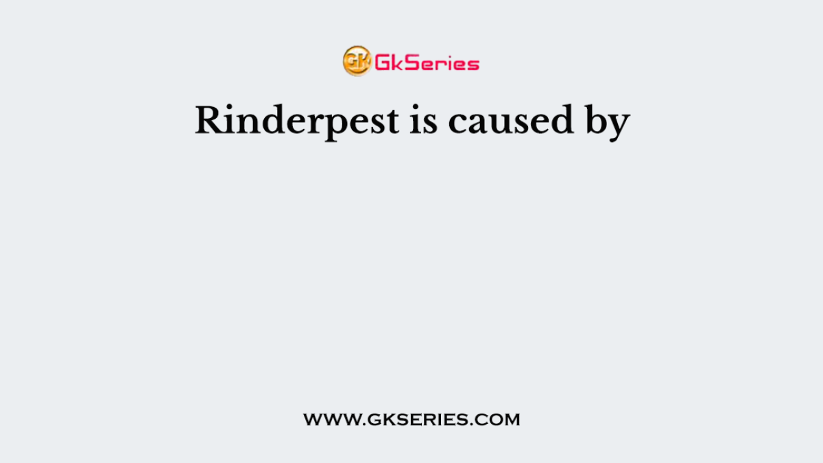 Rinderpest is caused by