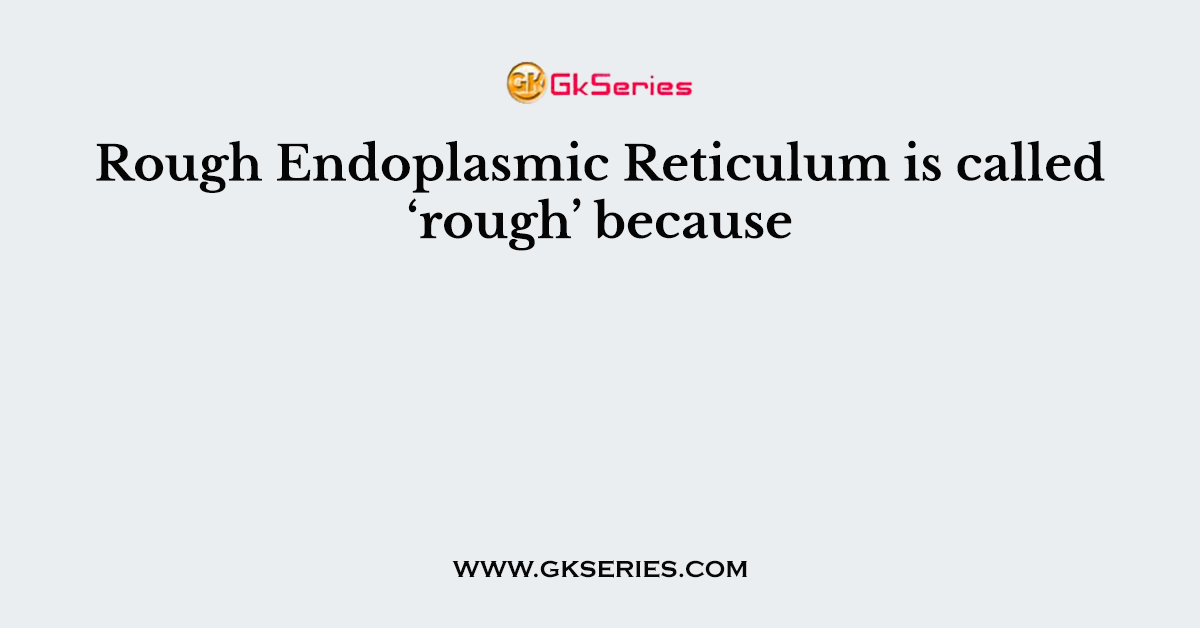 Rough Endoplasmic Reticulum is called ‘rough’ because