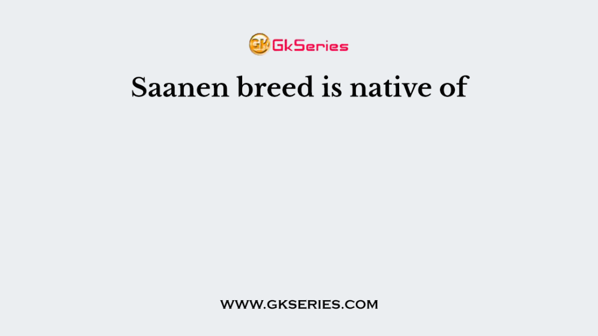 Saanen breed is native of